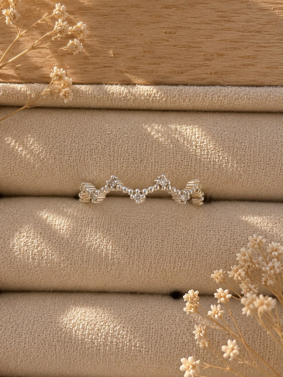 ANILLO NOA