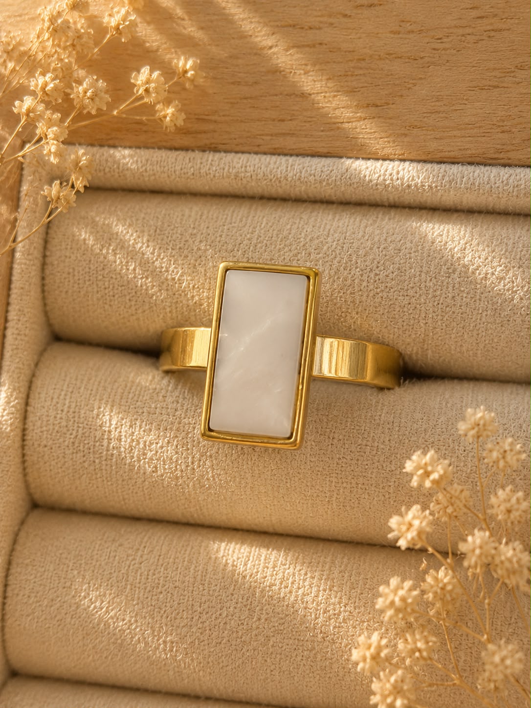 ANILLO ZARIA